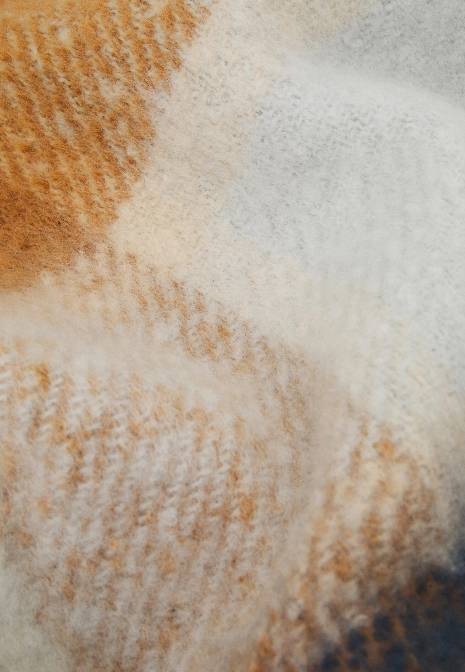 Anna Field Scarf - Brown/White/Blue - Image 2